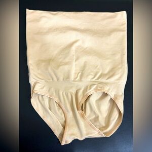 ASSETS by SPANX Women's High-Waist Control Briefs in Size XL